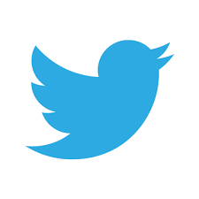 Blue Twitter Bird 