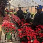 Horticulture