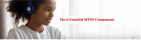 MTSS  implementation 